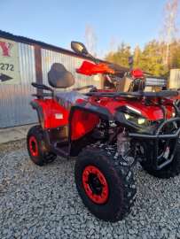 Quad Diabolini Hammer 300PRO XL, 200cc chłodzony olejem,