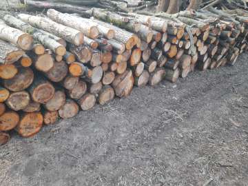 Kupię drewno opałowe twarde