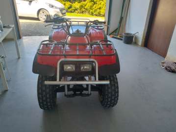 Quad Yamaha bear tracker