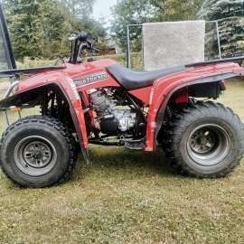 Quad Yamaha bear tracker
