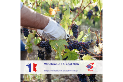 Winobranie 2026