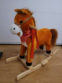 Konik na biegunach