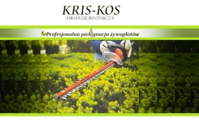 Profesjonalne strzyżenie żywopłotów. KRIS-KOS