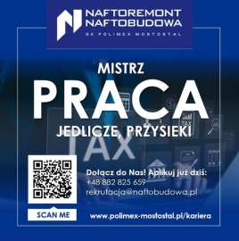 Mistrz/ Mistrzyni