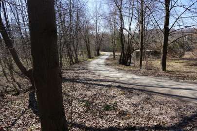 Do sprzedania las w okolicy Jasła