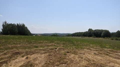 Działka rolna rekreacyjna / widokowa 0,10 ha Łężyny