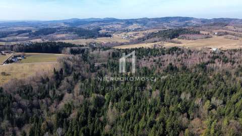 Duży las w Szerzynach, 4,90ha