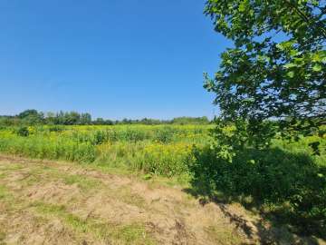 Dwie działki budowlane, Jasło, Wądoły