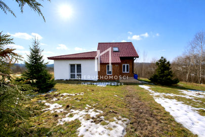 Dom w otulinie lasu, Sowina, 57ar