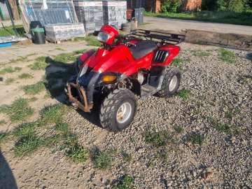 Quadzik dinli transport
