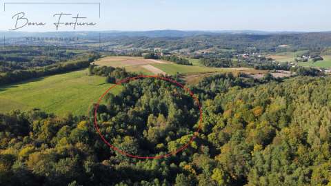 Działki rolno-leśne 2,60 ha - Gogołów, gmina Frysztak