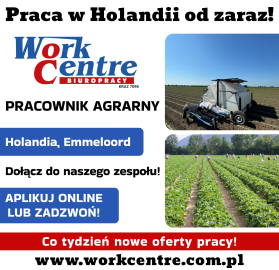 Pracownik agrarny (k/m) Oferta pracy w Holandii