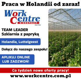 Team Leader w szklarni z papryką (k/m) Oferta pracy w Holandii