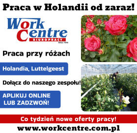 Ścinanie i pielęgnacja róż (k/m) Oferta pracy w Holandii