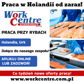 Pakowanie ryb (k/m) Oferta pracy w Holandii - BONUS