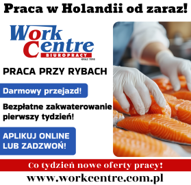 Pakowanie ryb (k/m) Oferta pracy w Holandii - BONUS