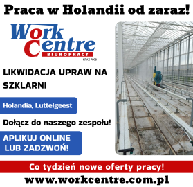 Likwidacja upraw na szklarni (k/m) Oferta pracy w Holandii
