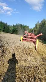 Kombajn Massey Ferguson 30