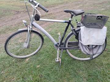 Rower Batavus