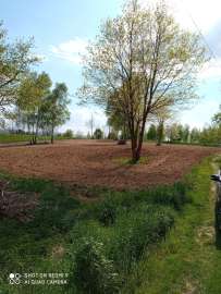 Działka budowlana 45 ar  Żółków, gm. Jasło