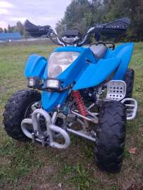 Quad Suzuki
