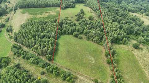 Działka rolna, las 198ar Makowiska 1435/5