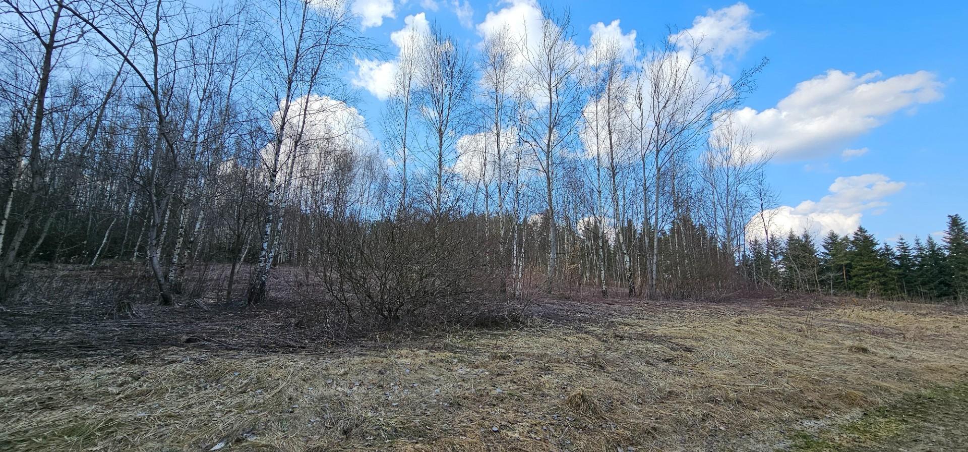 Działka rekreacyjną pod lasem 26 arów Czermna