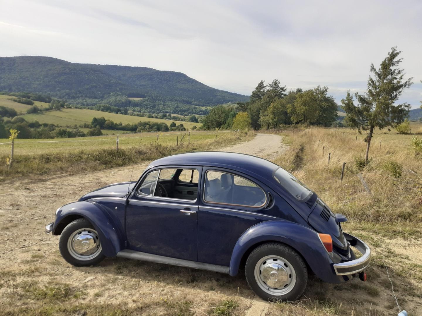 Sprzedam Vw Garbus