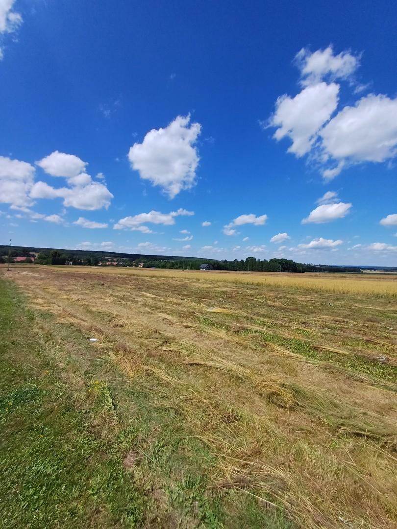 Wola Dębowiecka - działka budowlana na sprzedaż