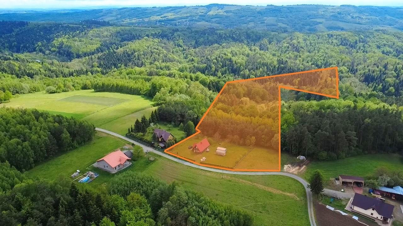 Urokliwy domek letniskowy w otoczeniu lasu