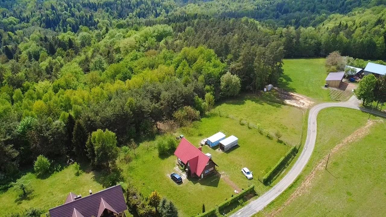 Urokliwy domek letniskowy w otoczeniu lasu