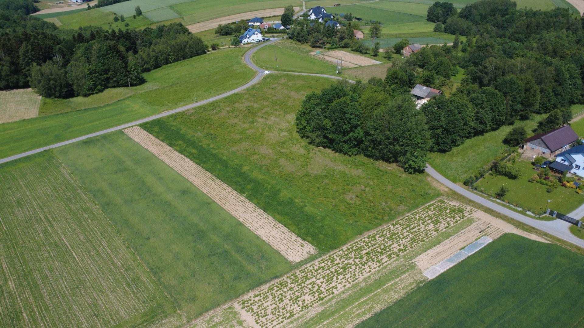 Wyjątkowa działka budowlana w Lubli - miejsce na Twój wymarzony dom