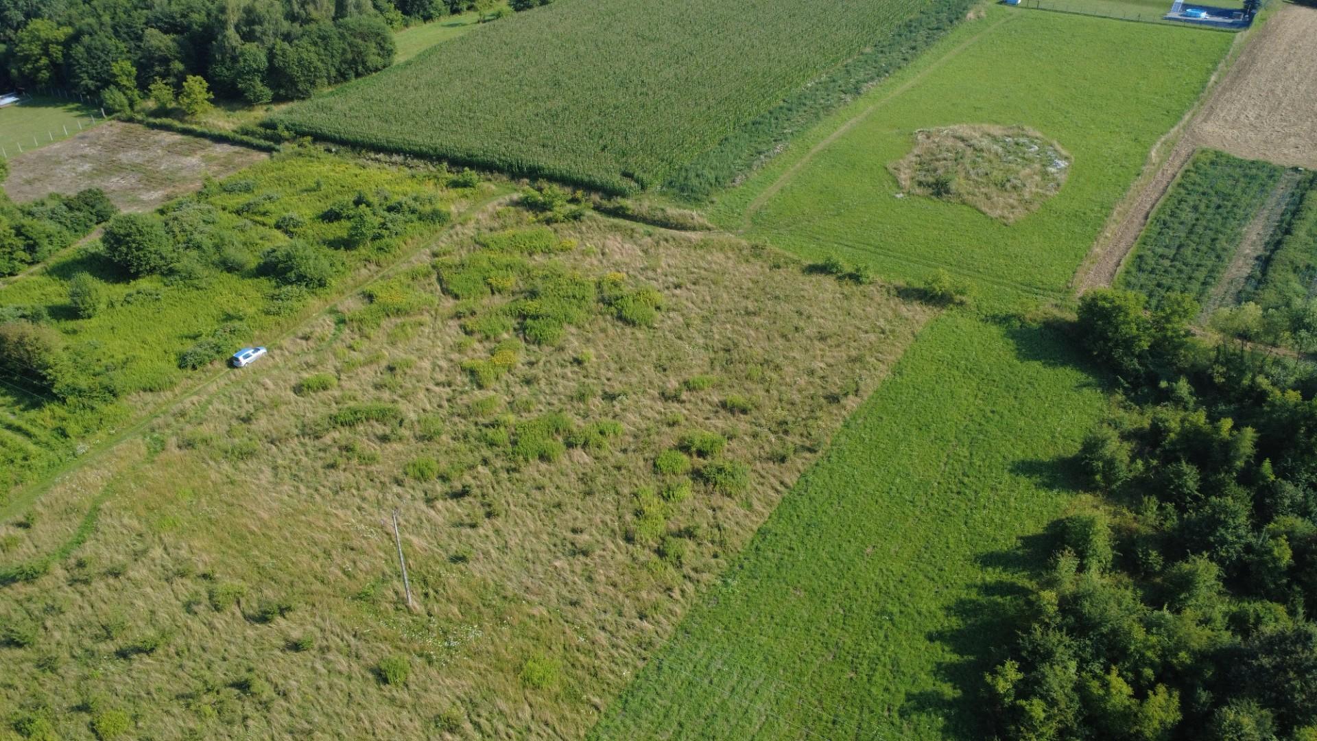 Na sprzedaż działka budowlana w Tarnowcu - 803 m