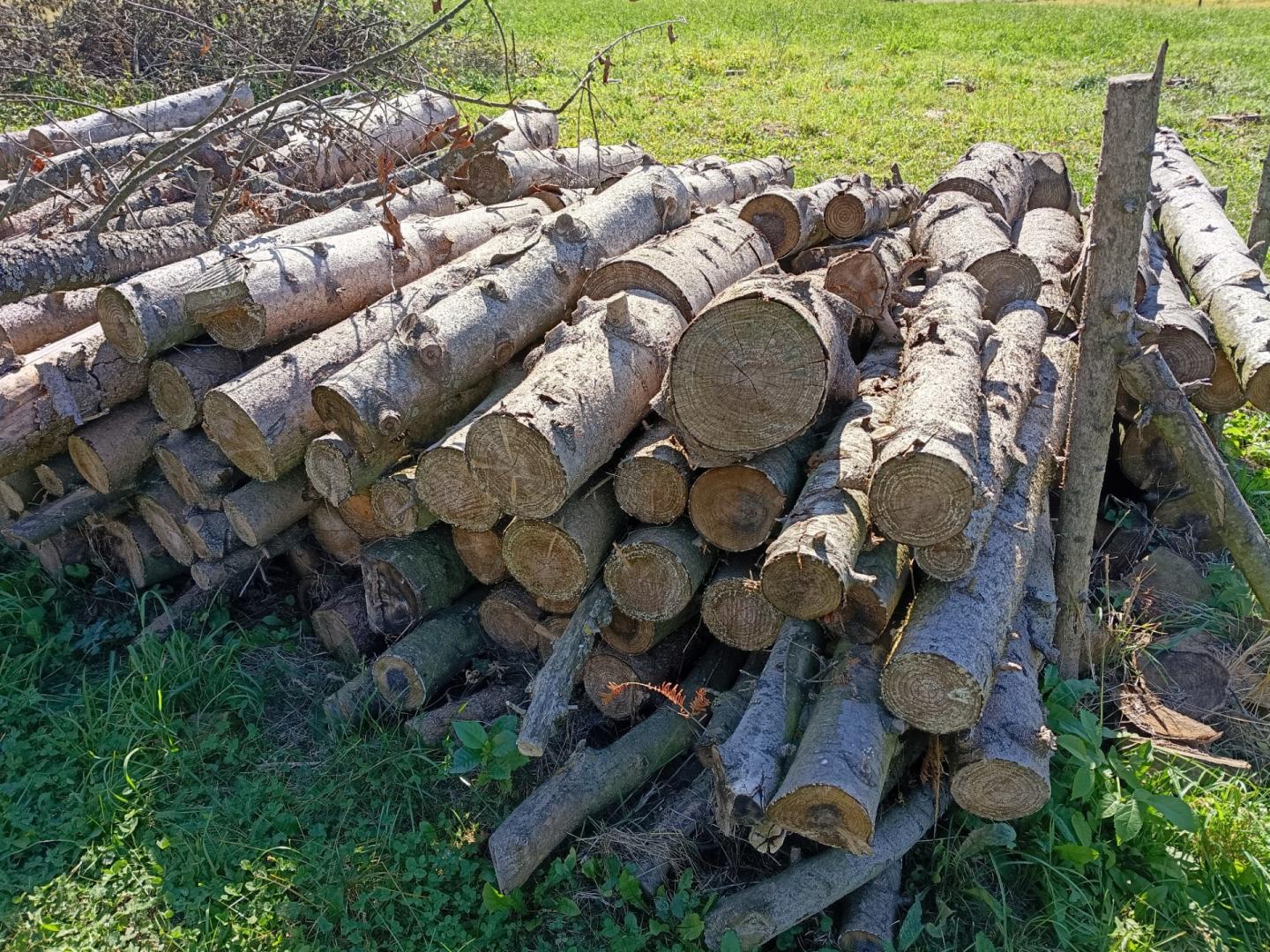 Sprzedam drewno 8 kubików świerki Tarnowiec