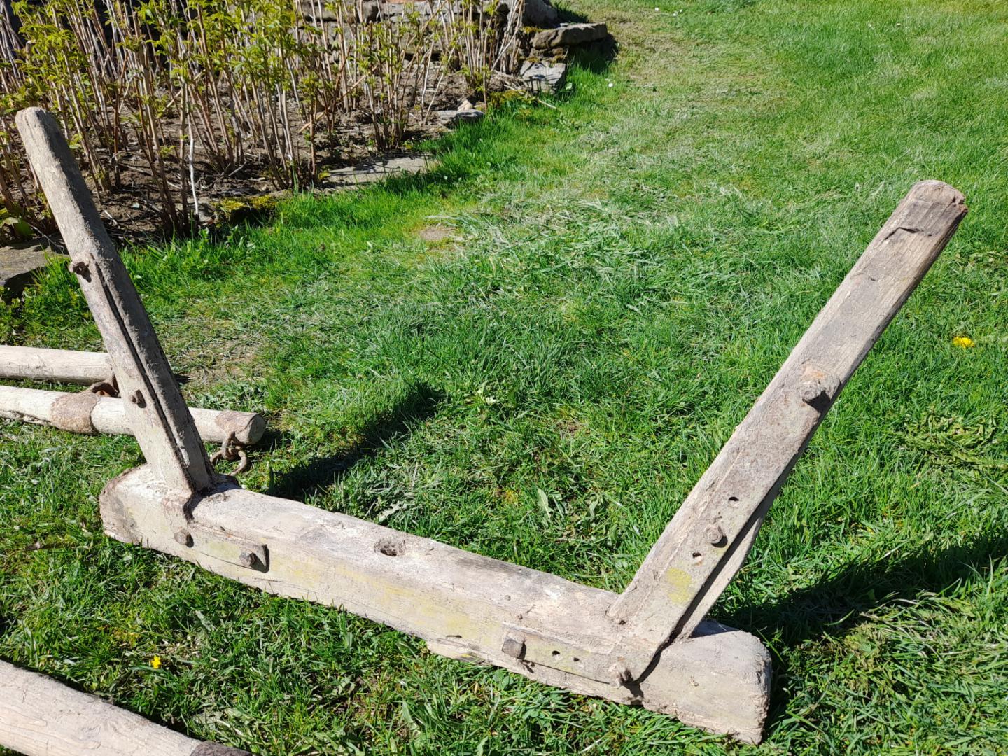 Orczyk konny, obartel