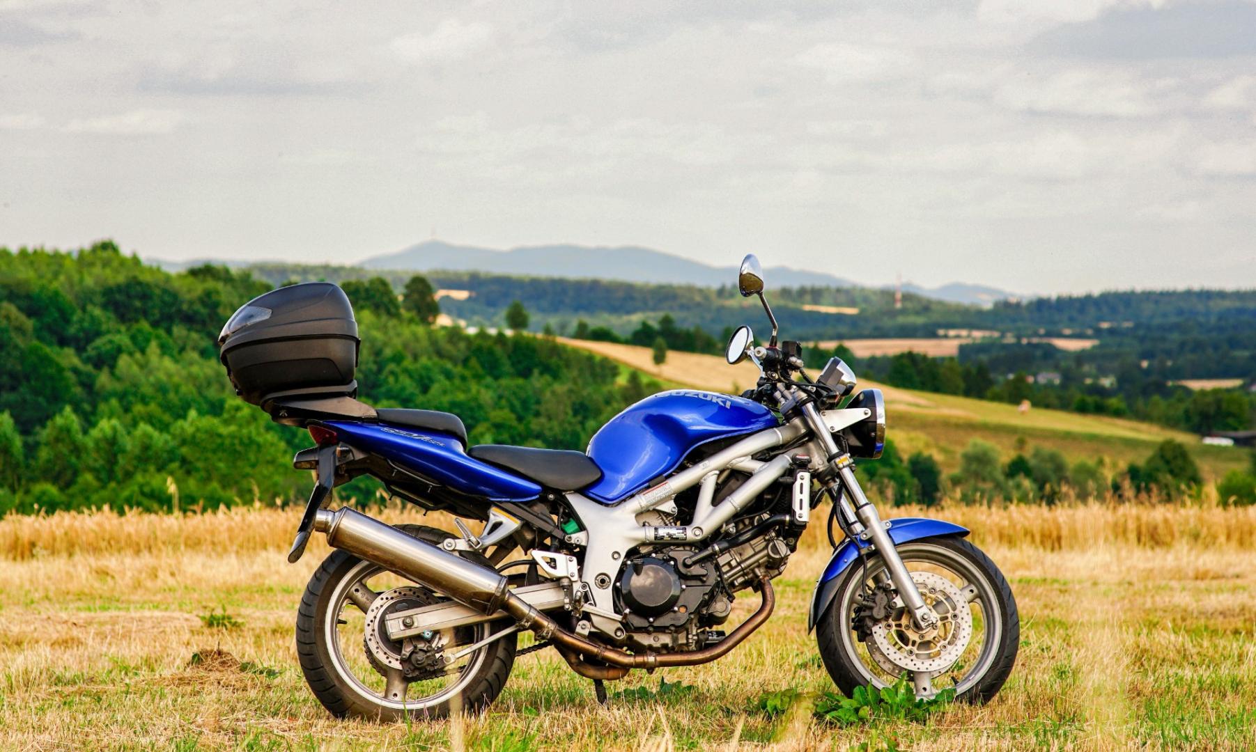 Suzuki SV 650 2002