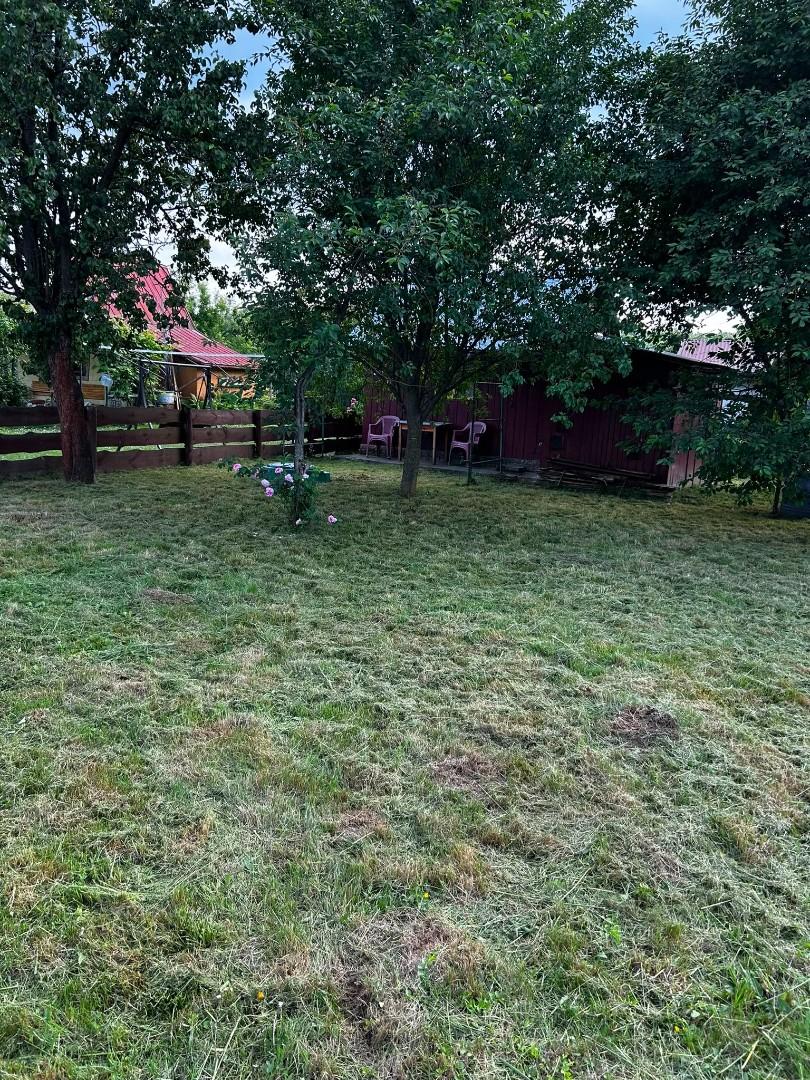 ogródek działkowy rod relax strzyżów