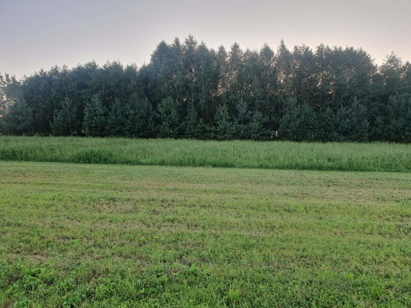 Sprzedam działkę 27a Wola Dębowiecka