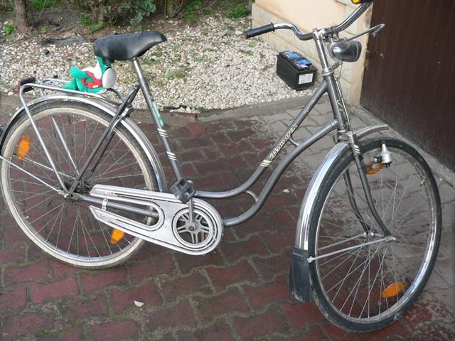 Rower Bismark