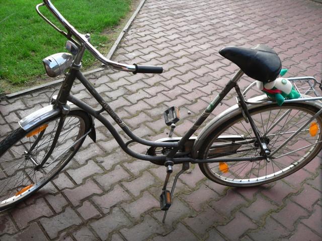 Rower Bismark