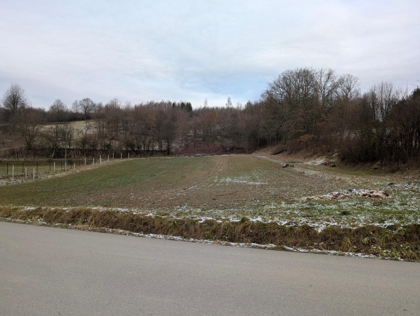 Działka budowlano-usługowa Skołyszyn (Lisówek) 33.9 a