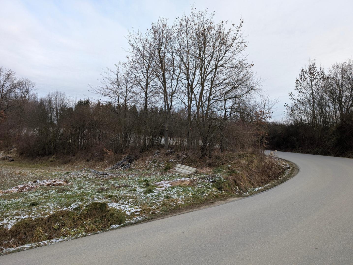 Działka budowlano-usługowa Skołyszyn (Lisówek) 33.9 a