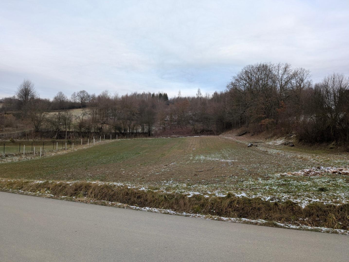 Działka (działki) budowlano-usługowa Skołyszyn (Lisówek) 33.9 a