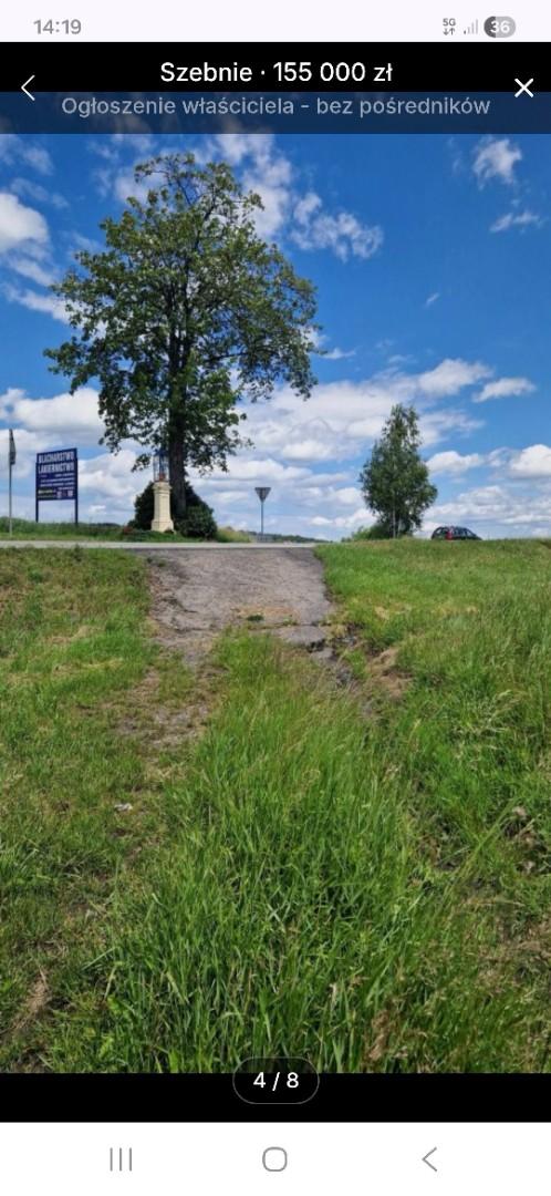 Działka widokowa częściowo zalesiona brzozą-Szebnie