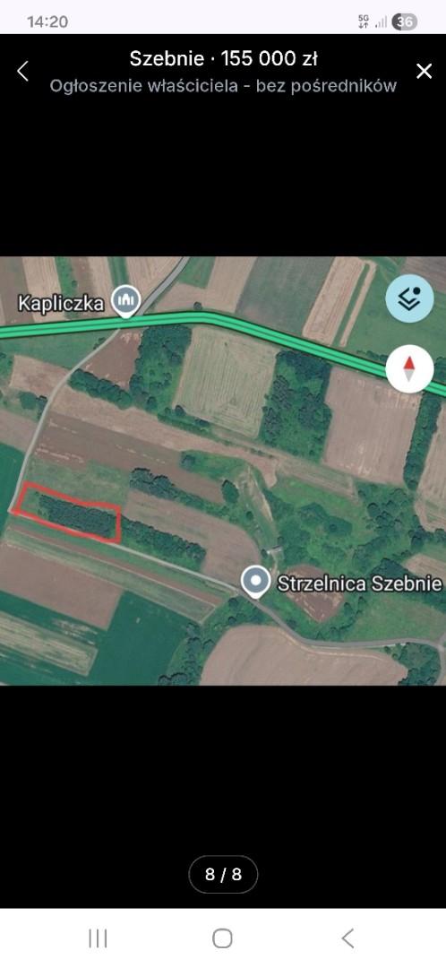 Działka widokowa częściowo zalesiona brzozą-Szebnie