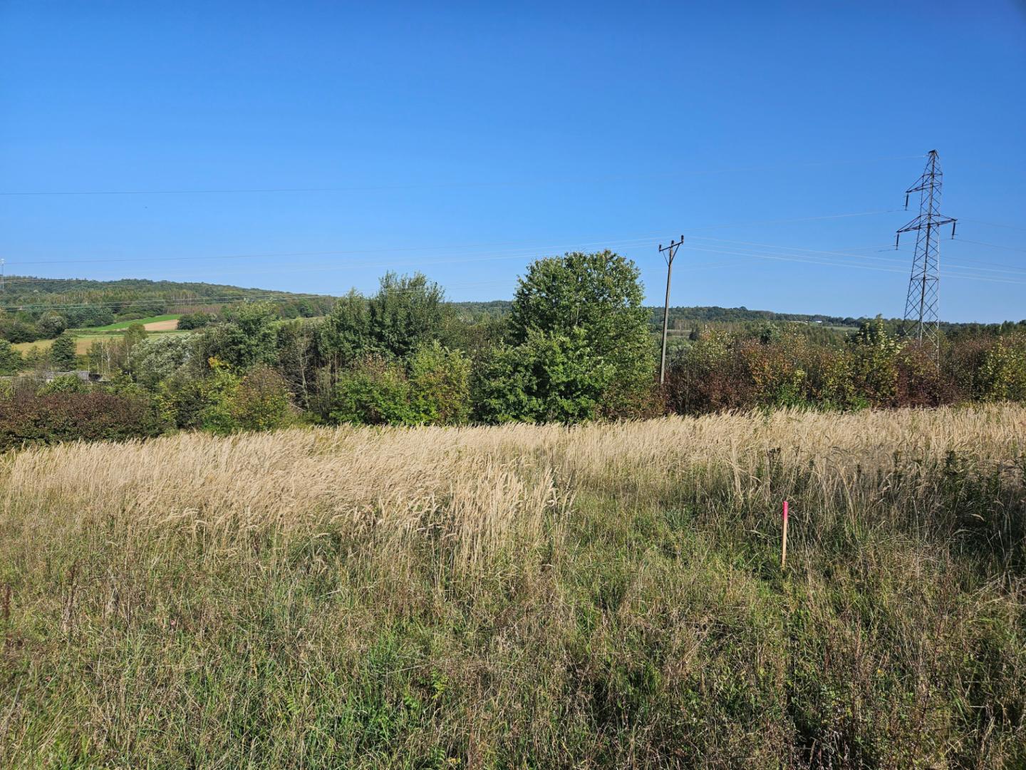Do sprzedania atrakcyjne, WIDOKOWE działki Warzyce z W.Z.