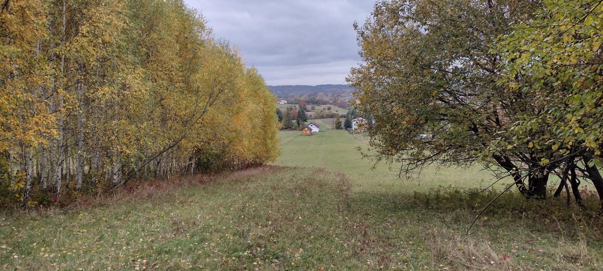 Sprzedam zabudową nieruchomości w Nowym Żmigrodzie