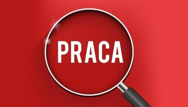 Praca - kierowca / sprzedawca w Salonie Meblowym