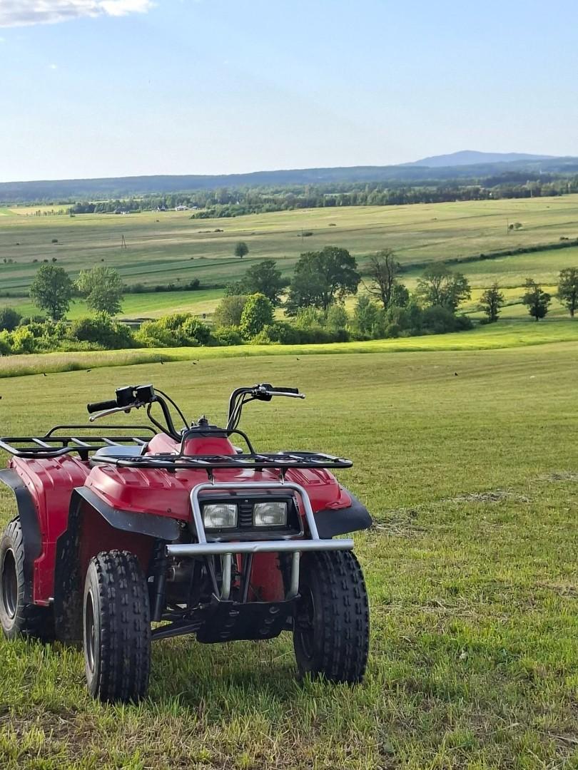 Quad Yamaha bear tracker