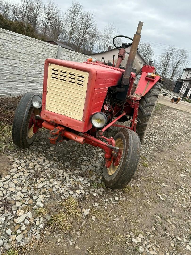 władimirec t-25 rusek